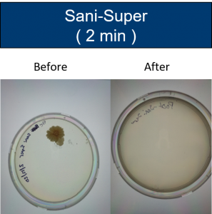 Before and after growth results with Sani-Super (2 min)