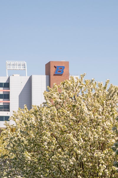 Spring Campus Scene