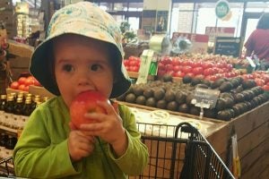 Toddler eats apple in grocery market