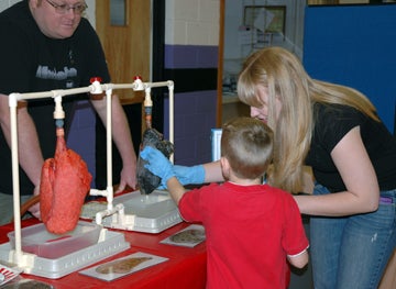 Attendees feeling a pair of pigs lungs affected by smoking