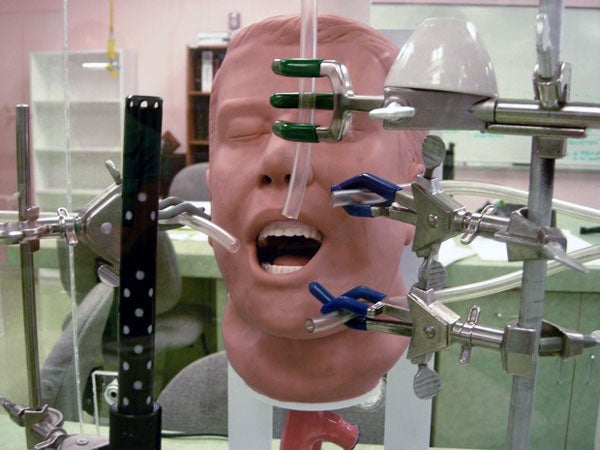 Air sampling manikin head