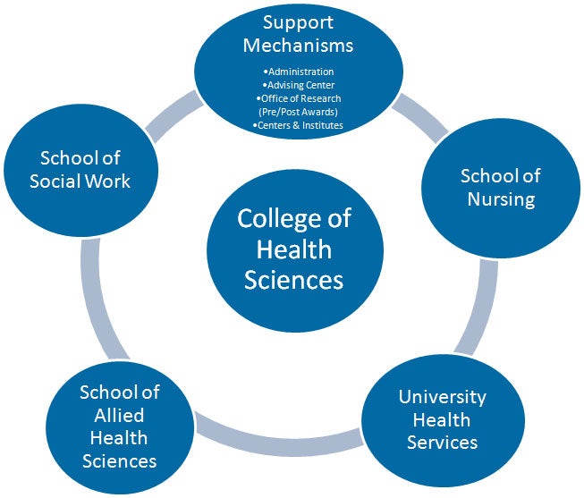 Infographic of new COHS Structure