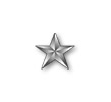 Brigadier General (BG) - one silver star