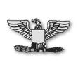 Colonel (Col) - silver eagle