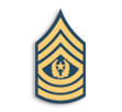 Command Sergeant Major 