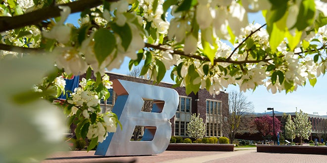 photo of campus and spring flowers
