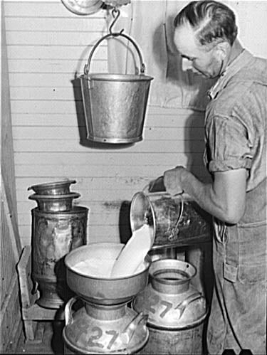 Pouring milk into cans - see caption for full description