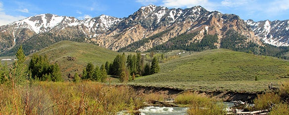 Idaho landscape