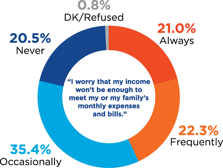 pie chart for question about income worry