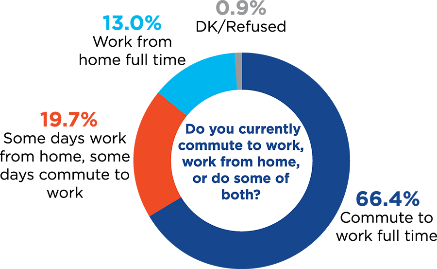 Pie chart for question about work location