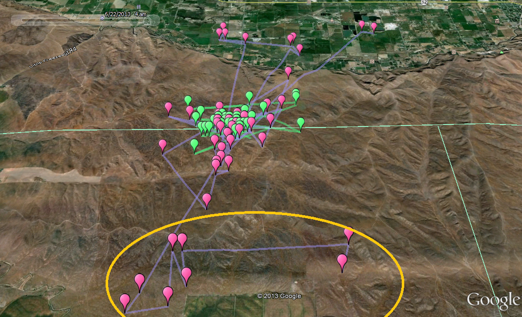 Ada (purple) and Emmett's (green) movements since June 6th.