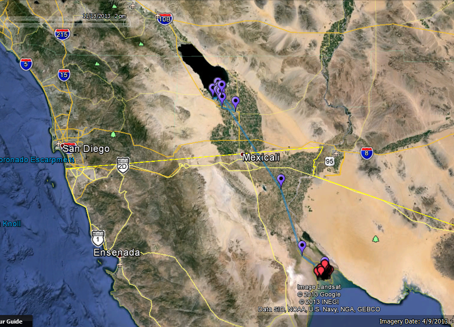 Borah returned to US soil after a 150km journey to the Salton Sea