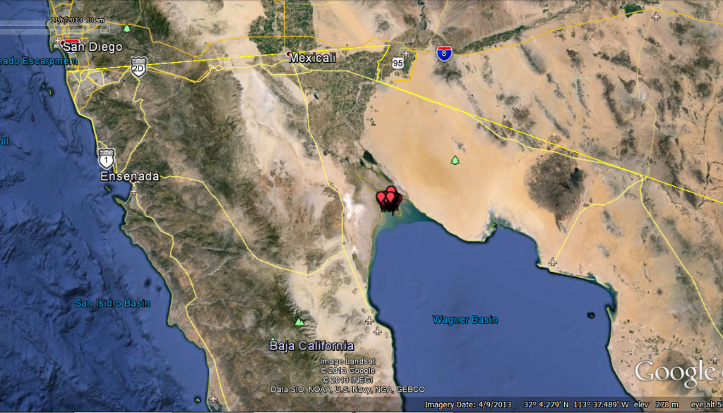 Borah had been spending most of his time in an estuary near the Gulf of California