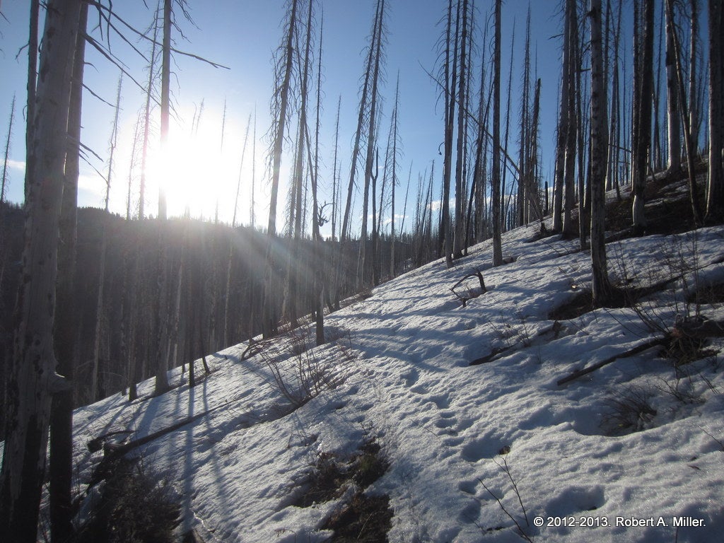 Early spring field work means lots of snow!