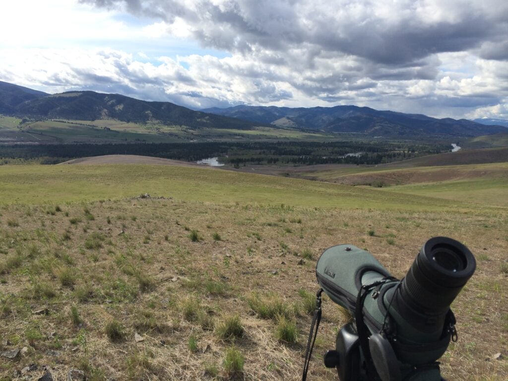 MPG Ranch. Not a bad place to look for curlews! Photo by Jay