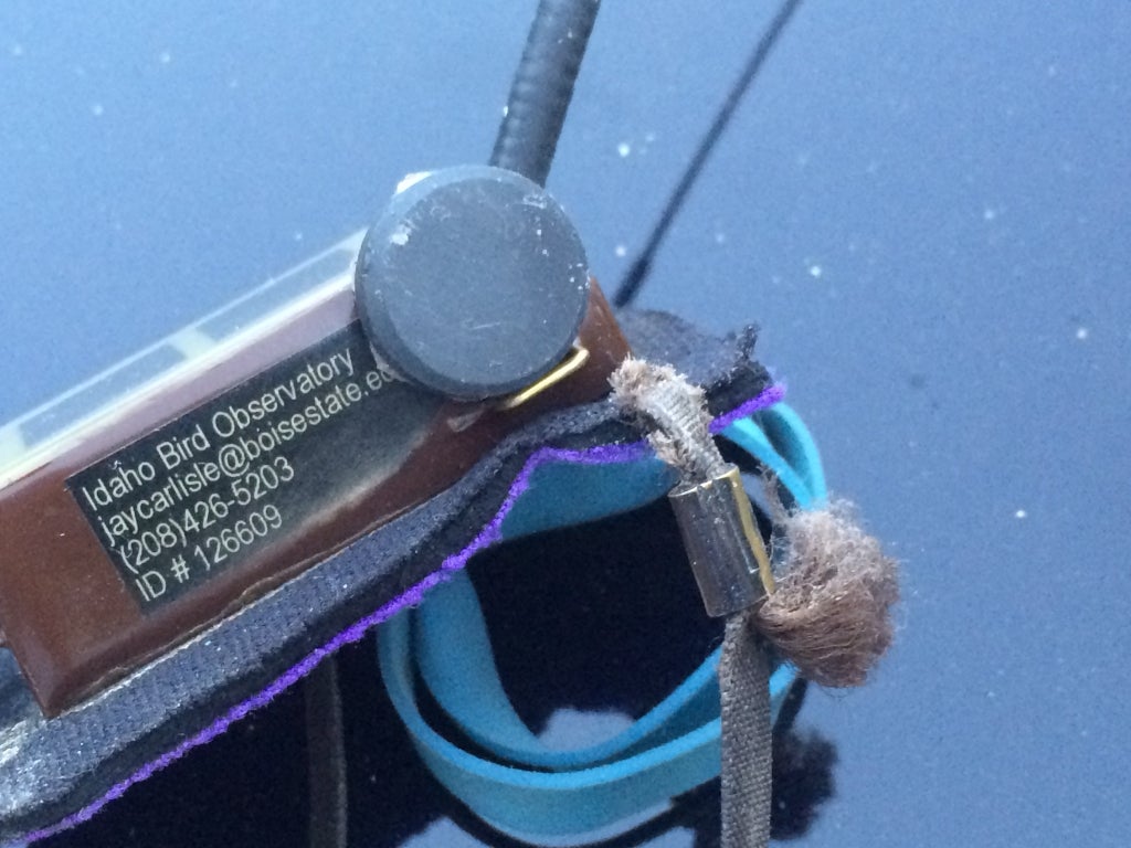 Borah's transmitter with broken strap
