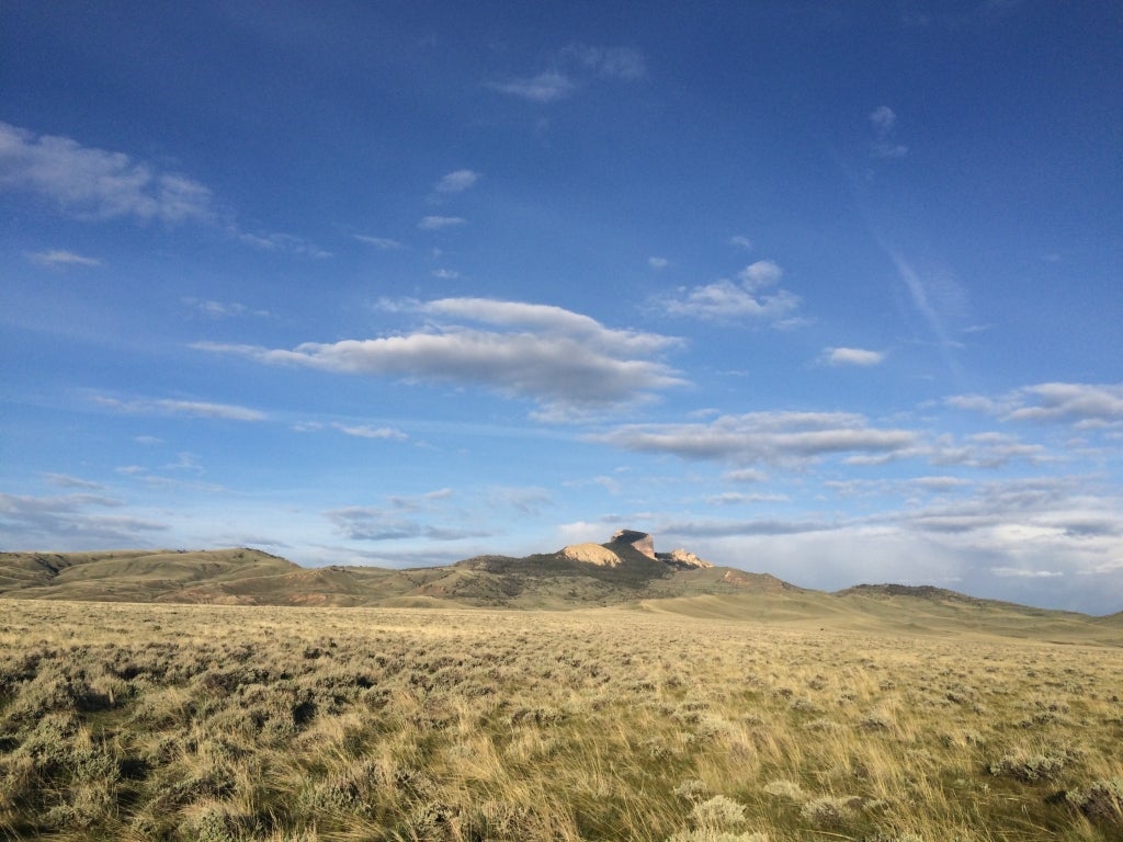 View across curlew breeding habitat to Heart Mountain, Wyoming
