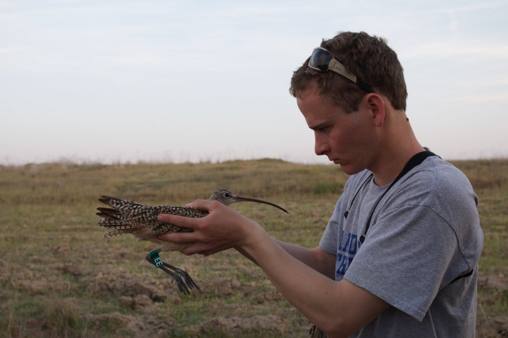 All-star curlew technician, Ben Wright. Photo by Leith Edgar.