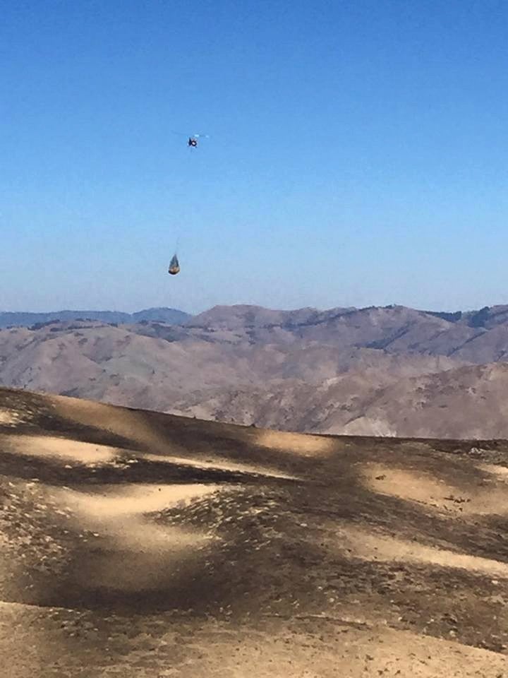 Helicopter habitat restoration seeding