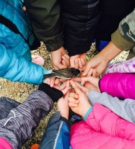 Students release a Junco