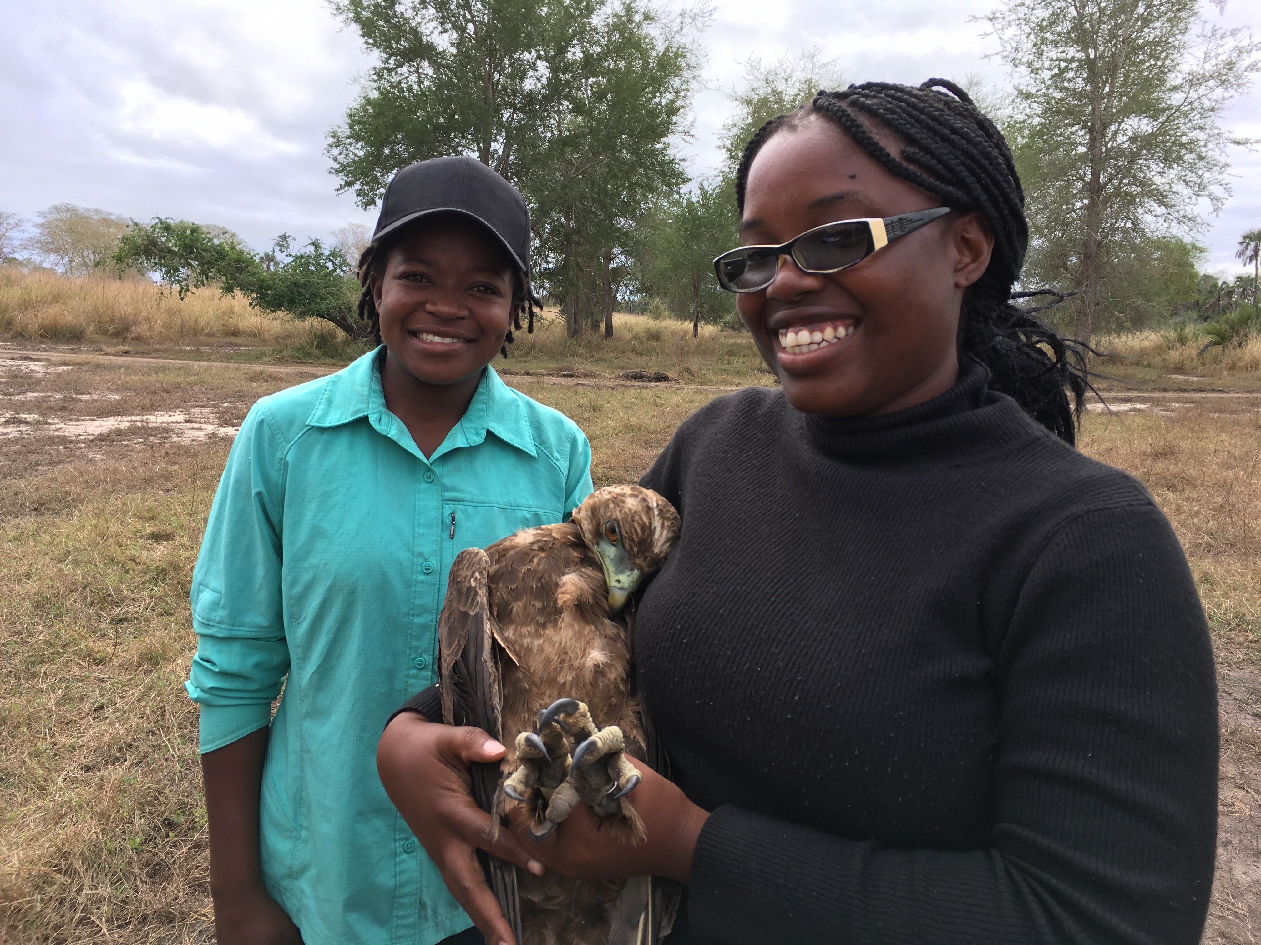 Research Fellow, Amemarlita, and Gorongosa Intern, Diolinda, with an immature Bateleur