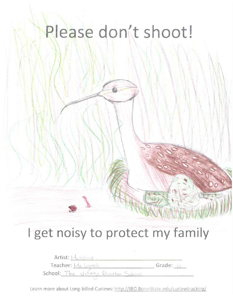 student art curlew poster
