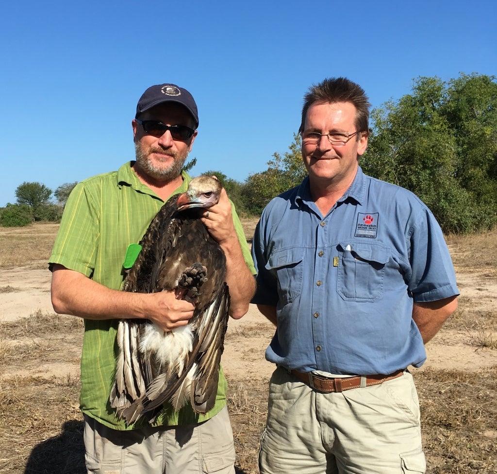 Greg Kaltenecker and Andre Botha with White-headed Vulture