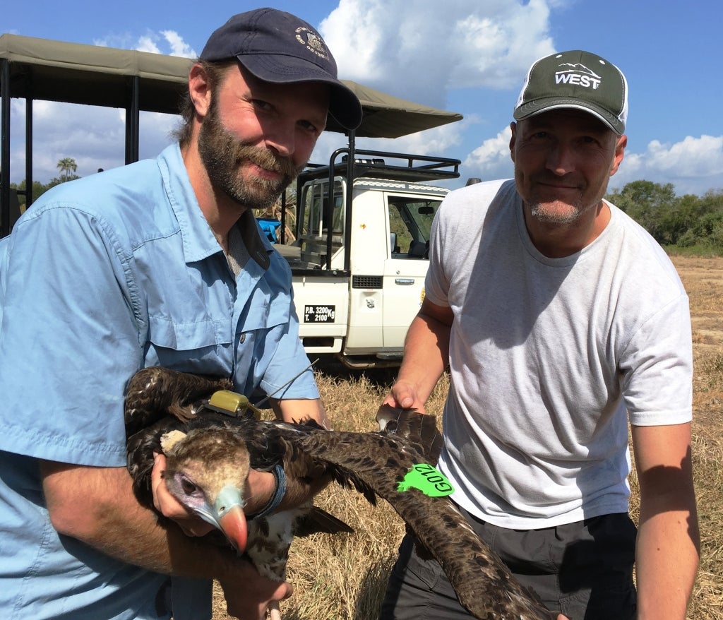 Teague Scott and Eric Hallingstad with White-headed Vulture