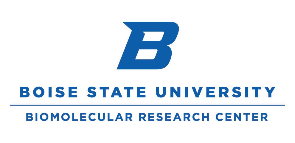 Boise State University Blue Color