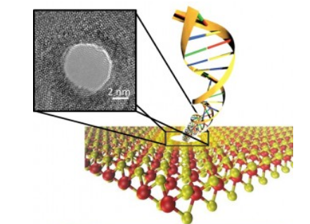  Photo of the Advanced Nanomaterials and Manufacturing Laboratory - links to website