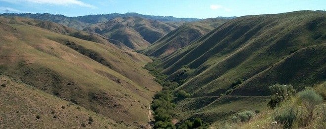 Dry Creek Experimental Watershed north-south facing slopes.