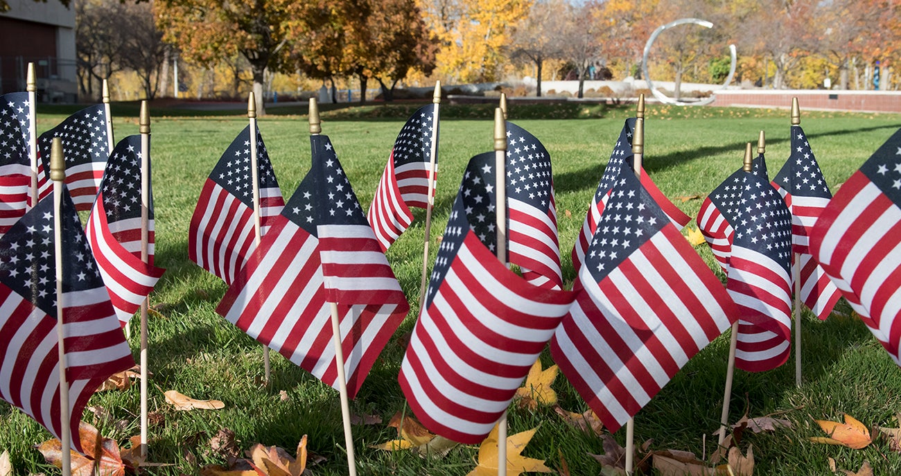 Photo American flags on wooden sticks covering the lawn