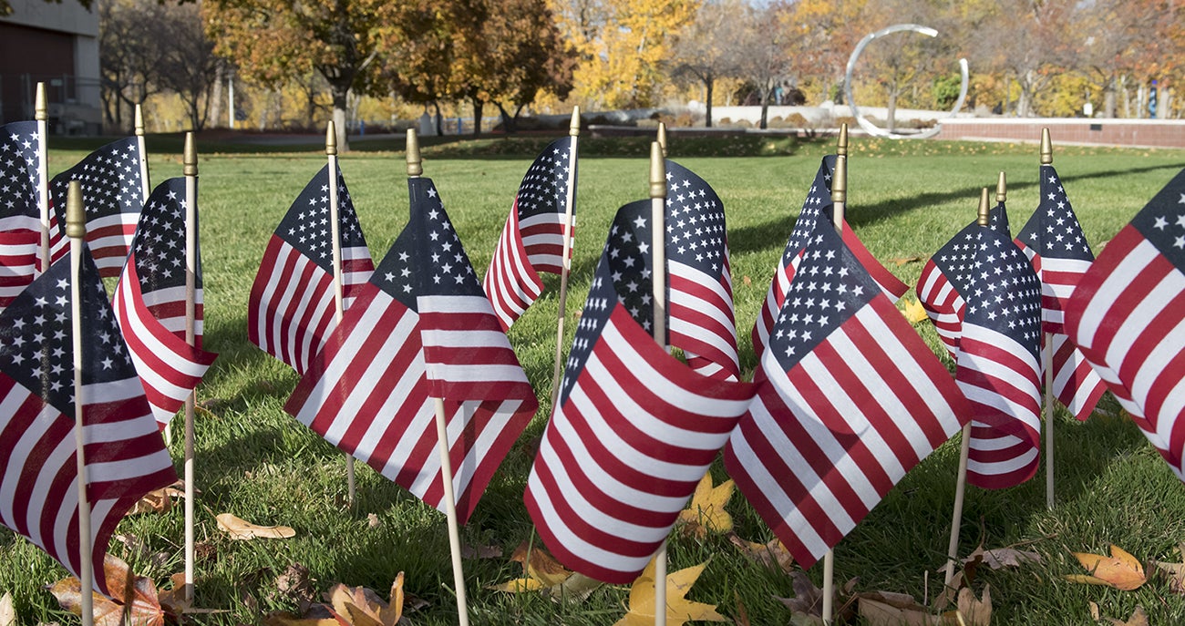 Photo American flags on wooden sticks covering the lawn