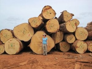 woman standing in front of logged trees