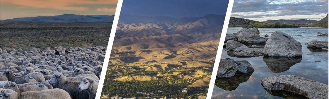 3 images of Idaho landscapes: sheep in heard, aerial view of Boise, and river scene