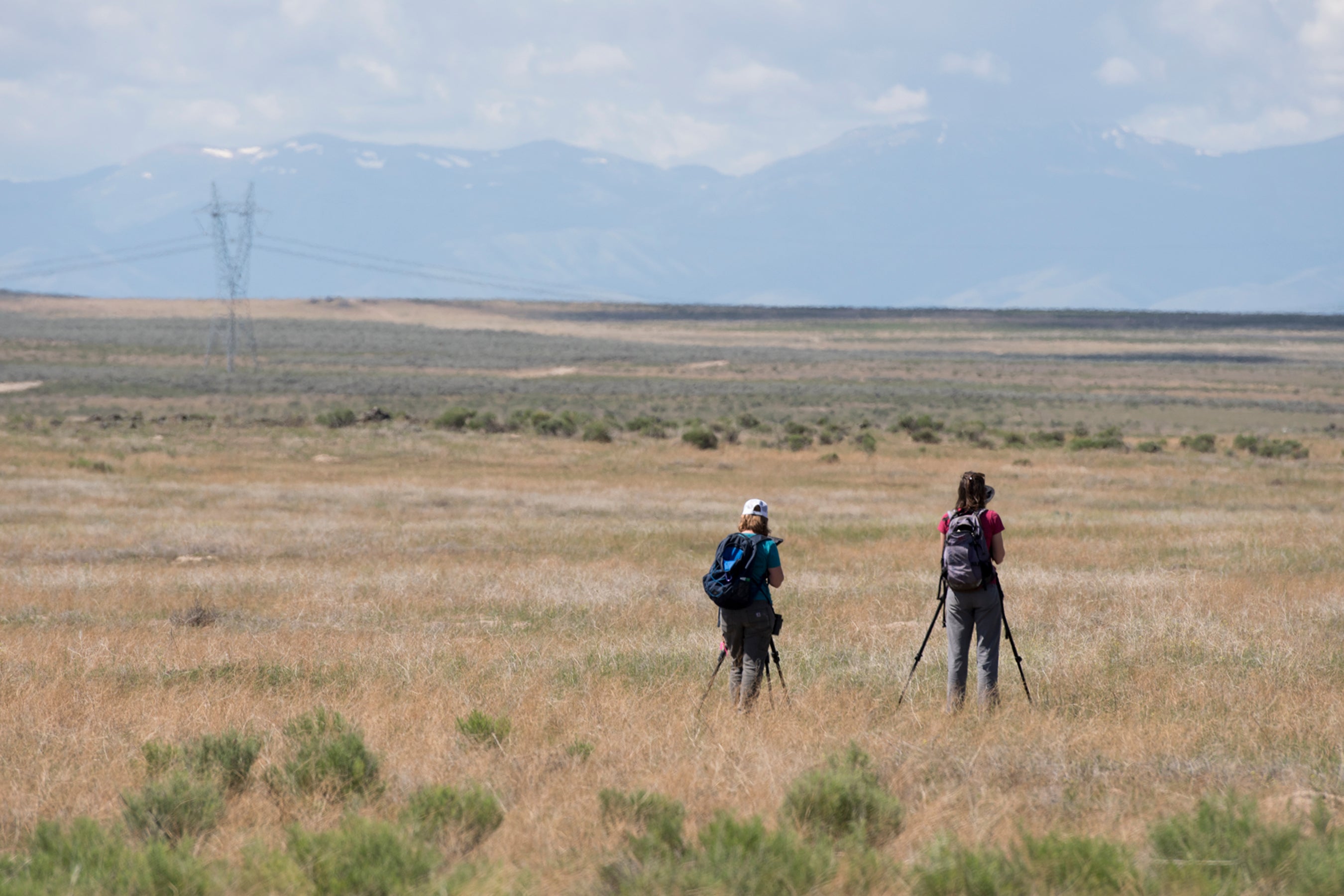 researchers in the field. 