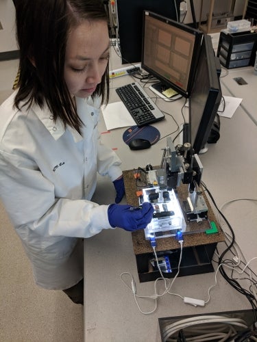 Graduate student Katie Hollar in the lab.