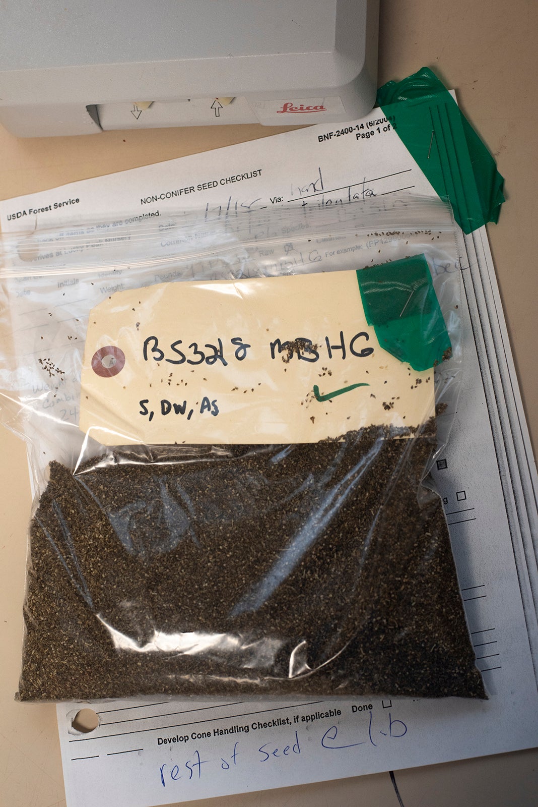 sagebrush seeds in a ziplock bag