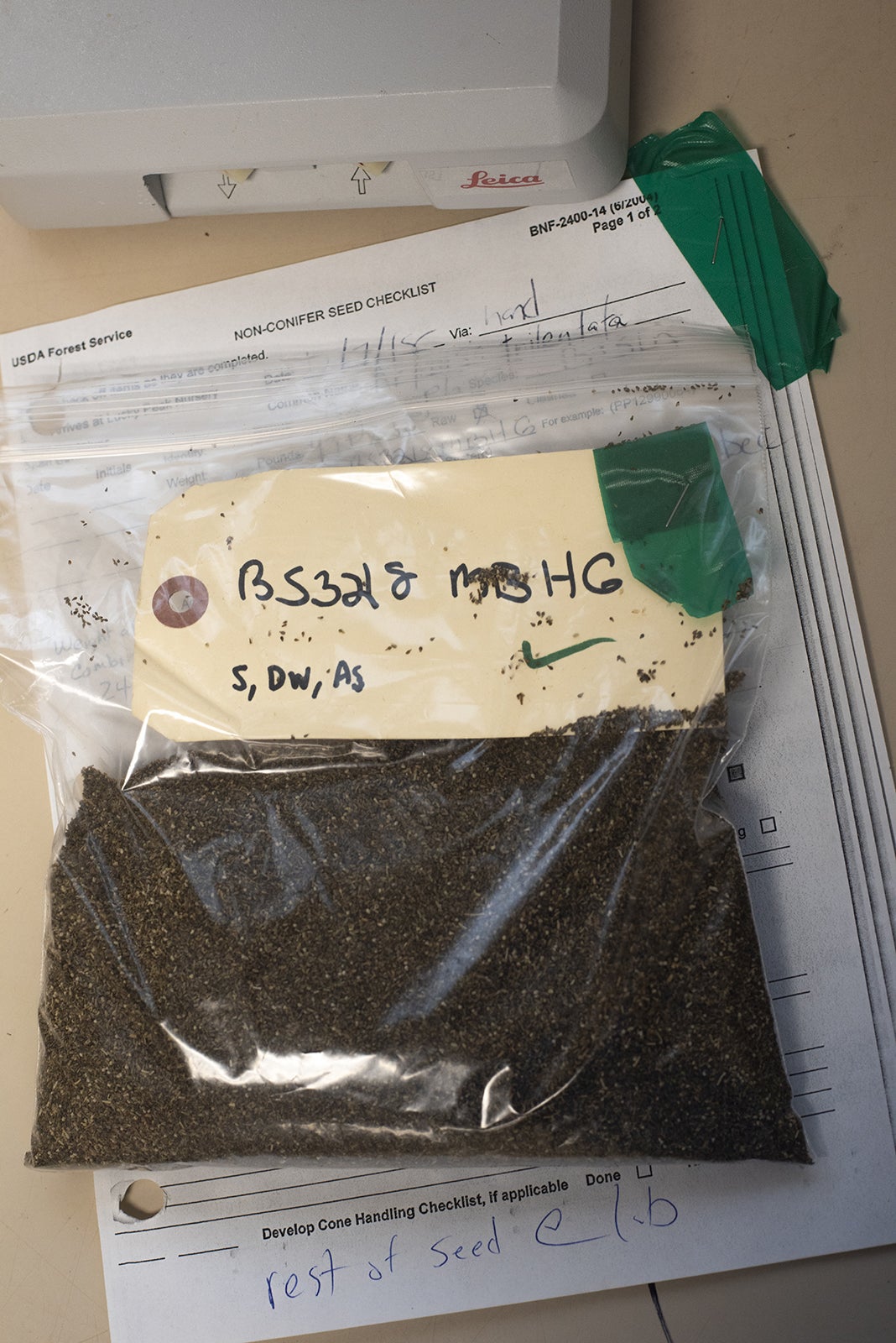 sagebrush seeds in a ziplock bag