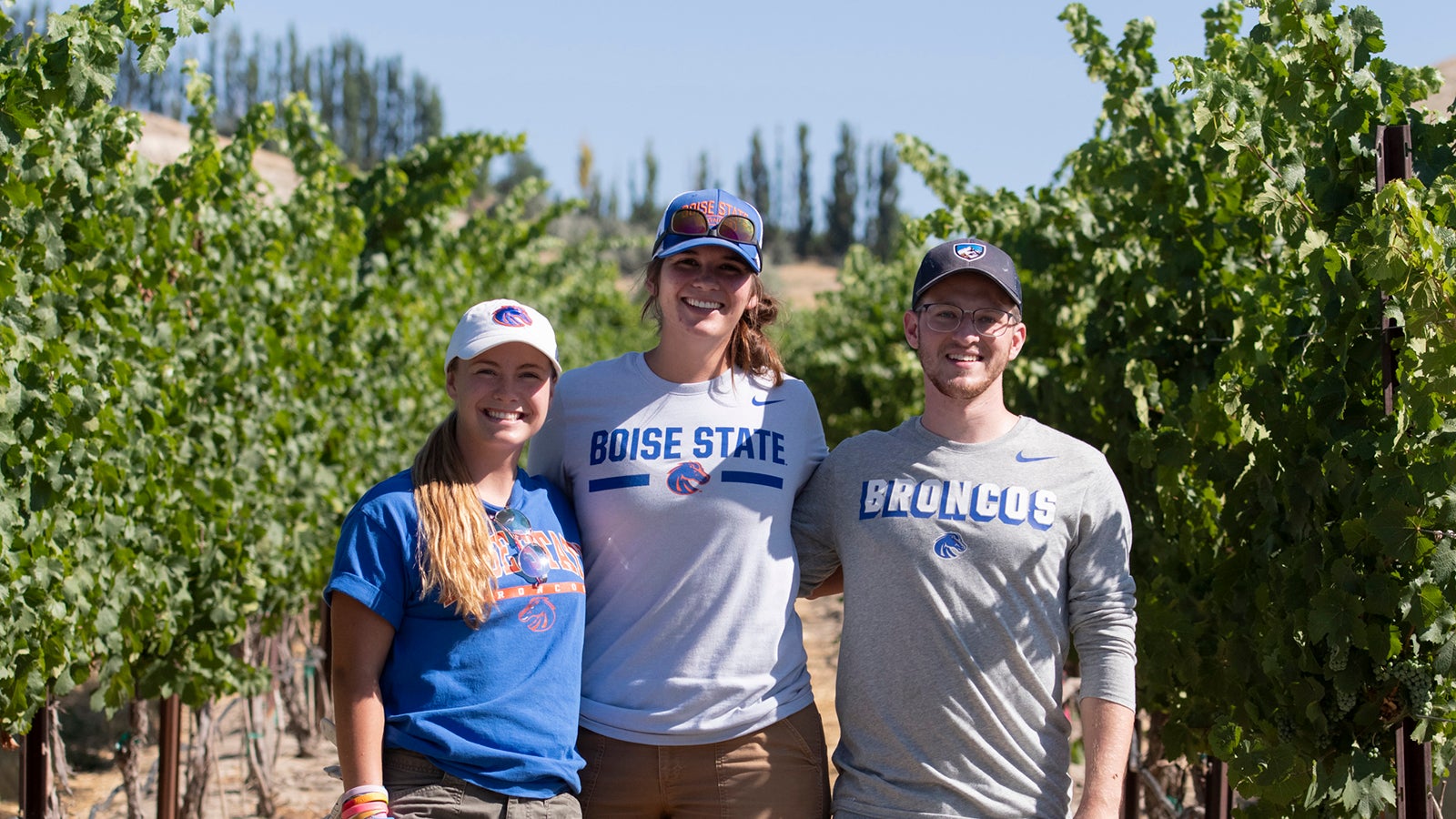 Three students stand side by side in vineyard