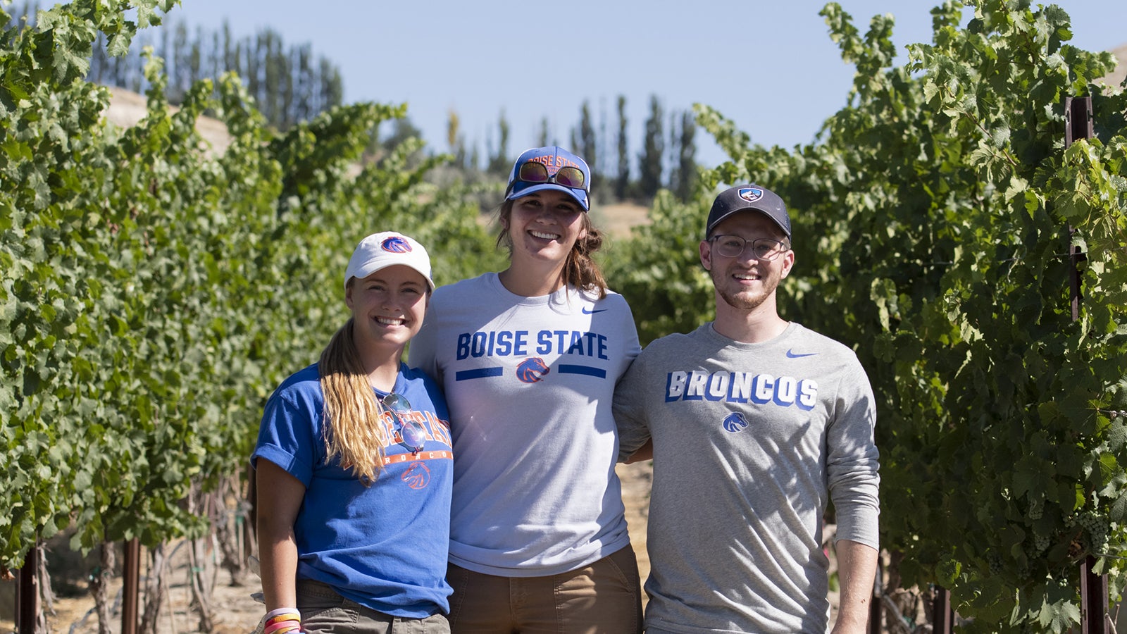 Three students stand side by side in vineyard