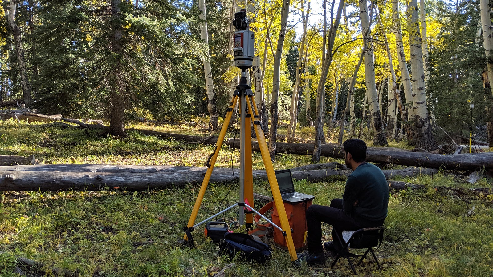 research student sits by equipment that scans trees