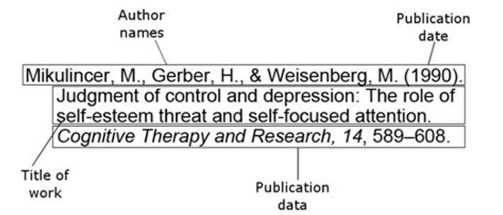 Citation formatting example