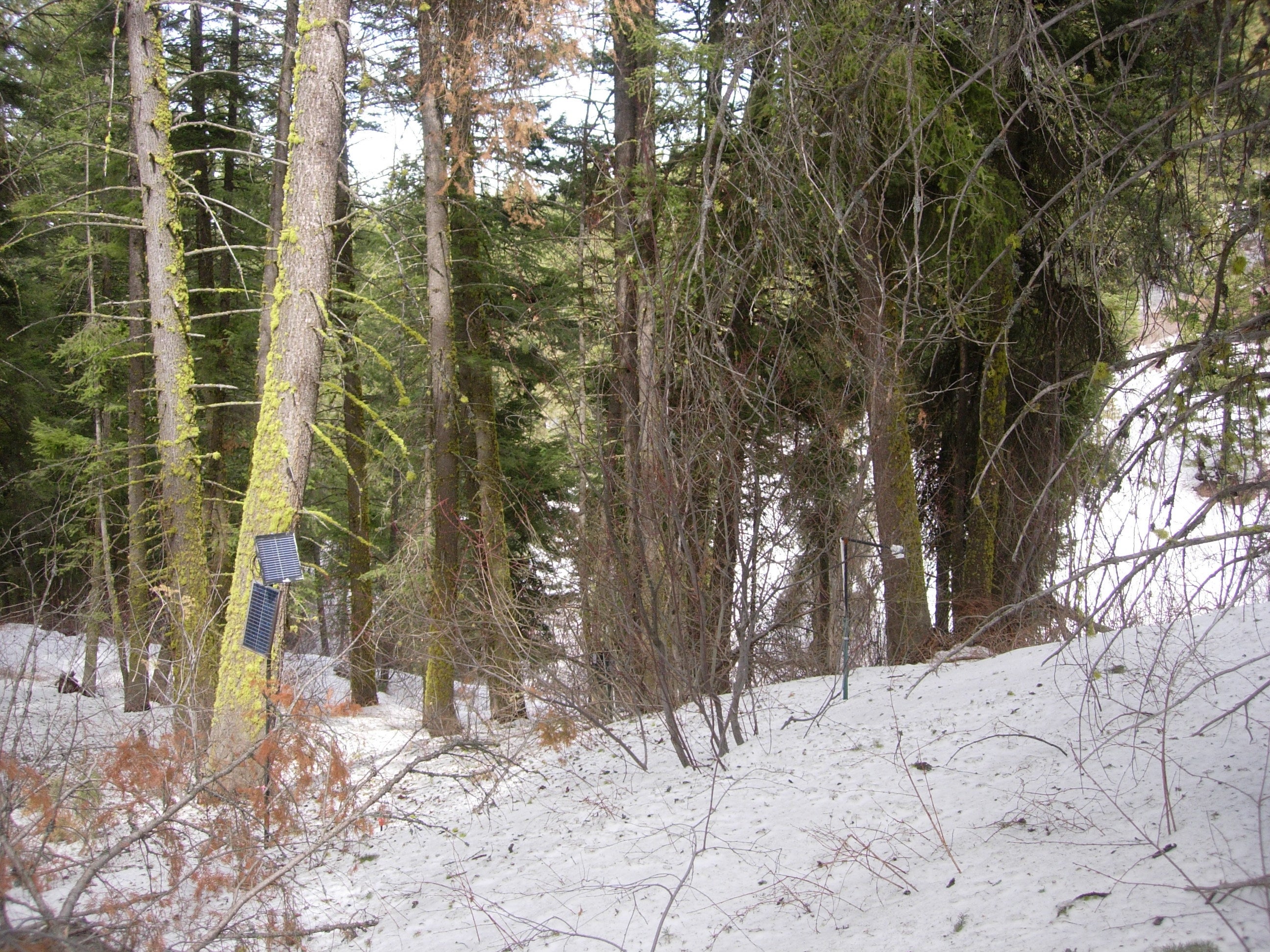 High N facing soil station sitting in a forest with snow on the ground.