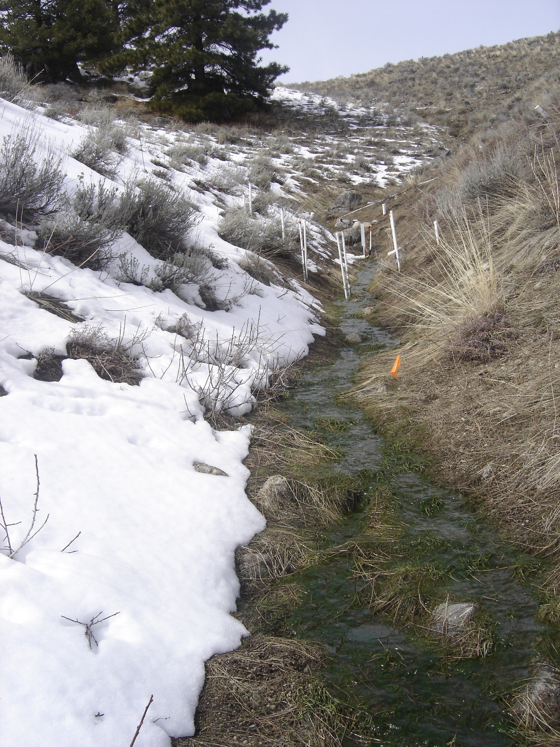 creek measurements in winter