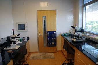 Mineral picking and polishing workstations in the control room