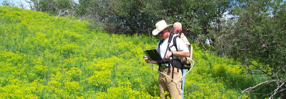Jacob mapping leafy spurge in the field