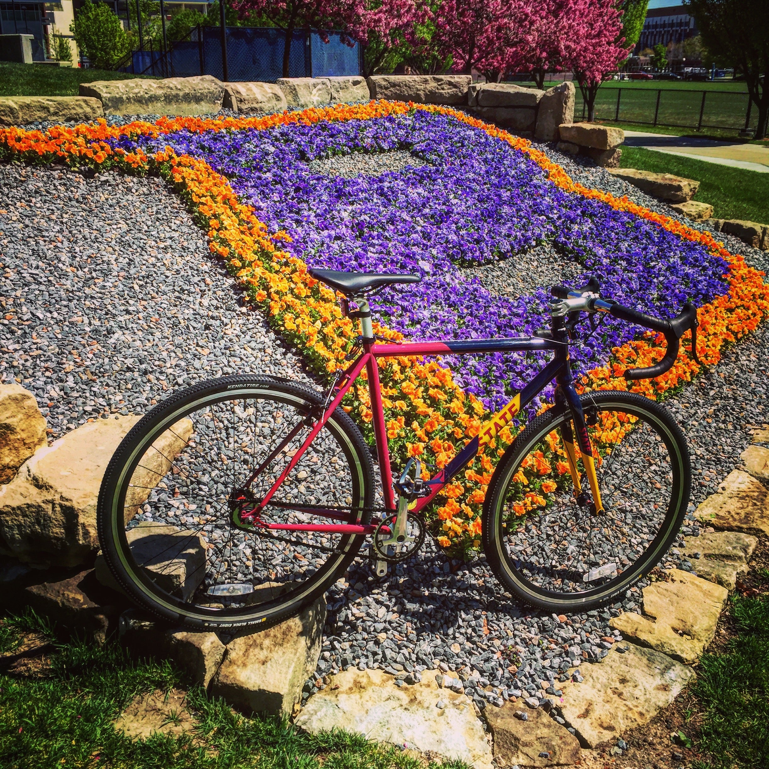 Image of a bicycle parked in front of flowers in the shape of the letter B. 