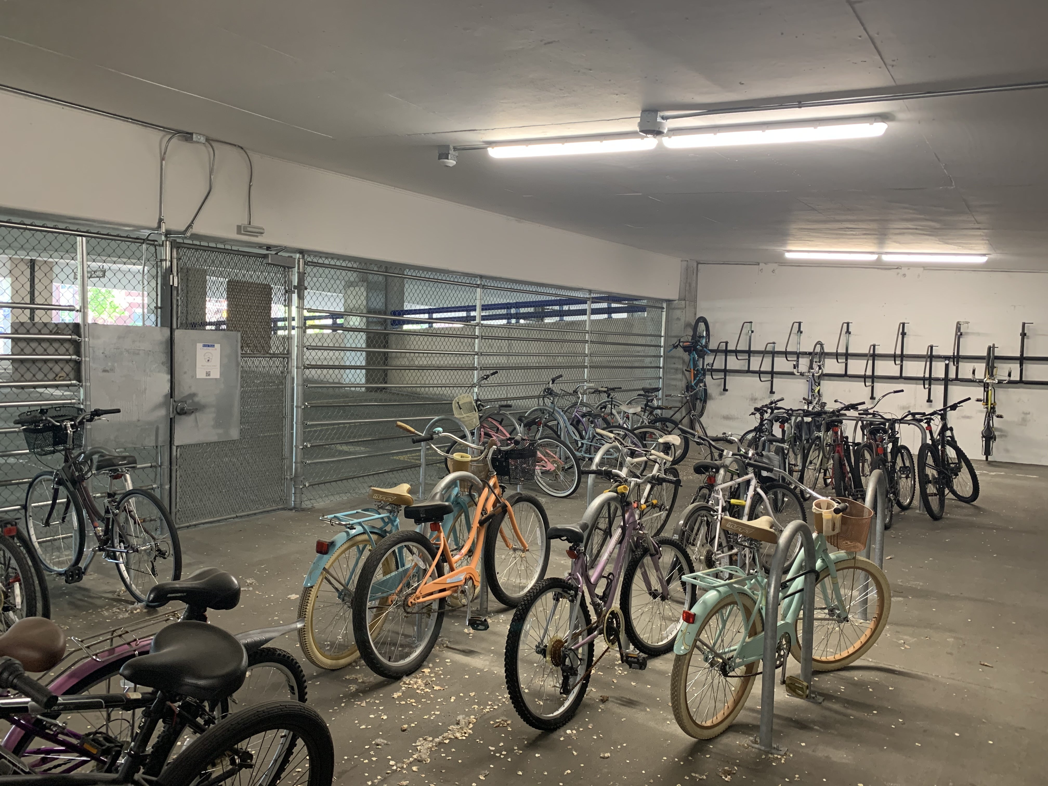 Bikes parked in the bike barn