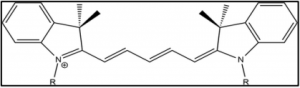 Molecular structure of Cy5 (1,1’-dimethyl-3,3,3’,3’- tetramethylindocarbocyanine). Linkers are attached at R sites.